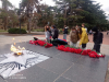 IMG_20211203_143433_773