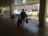 IMG-20220328-WA0004