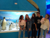 IMG_20170928_150031