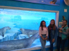 IMG_20170928_150159
