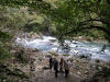 IMG_20211018_141408_1