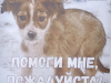 xW_8AvQ9MLE