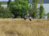 IMG_20220917_123110